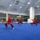 加厚武术馆蓝红色地毯舞蹈室体操色跆拳道运动001滑防训比练赛教