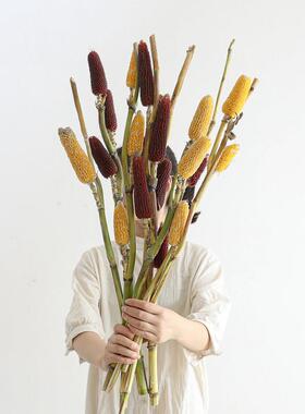 YEV观赏米迷你玉干花野奢鲜花观果商业 空间家用水培植物级感高