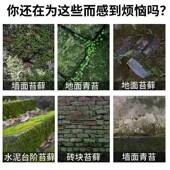 青苔清除剂青清除除剂墙水泥UKV地强力清蓝绿藻地面面老院苔子除