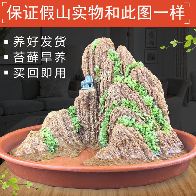 观沧海吸水假山盆景石上水摆件石小流水喷泉微景观奇石客厅观赏石