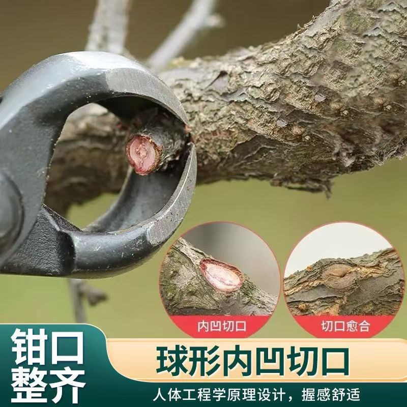 园林加重球节剪球形剪盆景钳子专用工具修剪造型工具马眼球钳枝剪