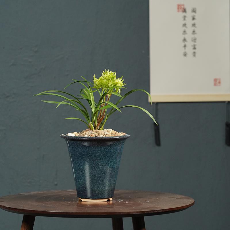 秦夕洪春兰紫砂花盆精品均釉高斗笠绿釉翠盖荷简约桌面阳台春季盆