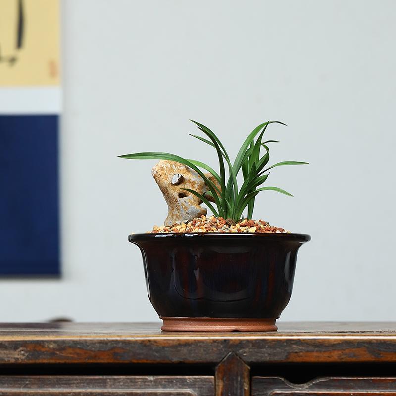 秦夕洪紫砂兰花盆宜兴精品小号红均釉春兰翠盖荷矮种绿釉植物桌面