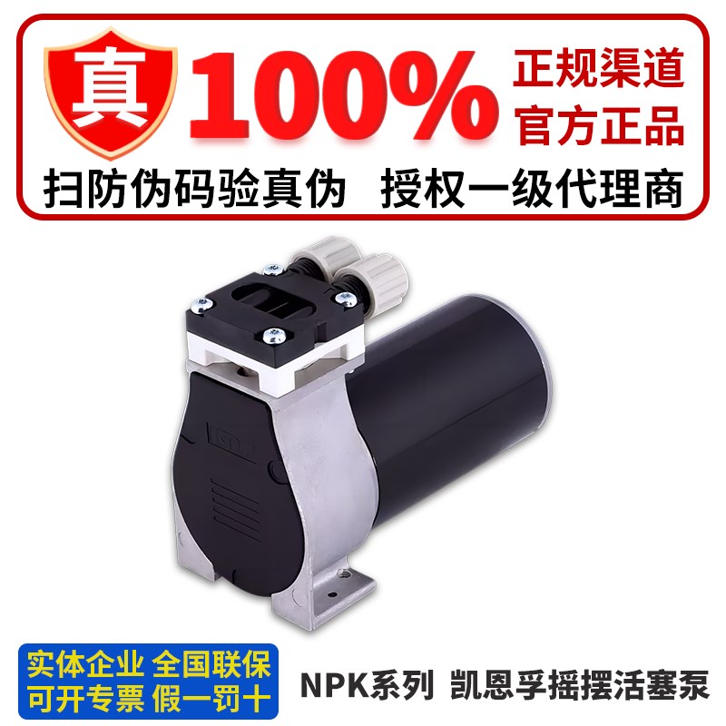 德国KNF摇摆活塞泵 压力泵NPK03KVDC-B4 NPK04 012 06 NPK09AC VA