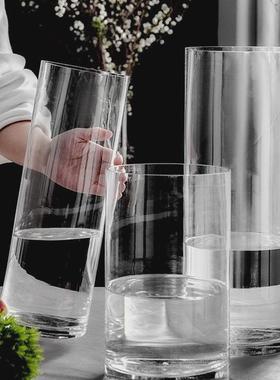 桌面收纳盒花瓶摆件客厅插花透明玻璃瓶水养马醉木富贵竹专用宽口