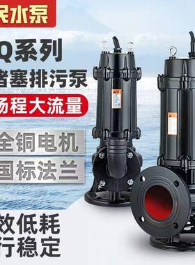 污水泵380抽粪泥浆下室污水处理养地场三相无殖堵塞QYR潜水排污v