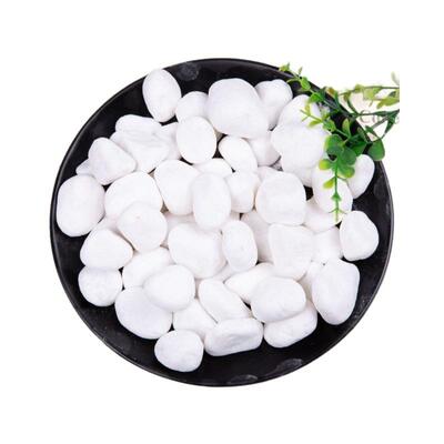 白石子鱼缸园林庭院盆栽造景鹅卵石花园夜光石景观石装饰厂盆景