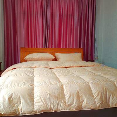 厂鹅家直供鹅绒家纺羽绒羽毛被95%白加厚立体被子FXP双人绒被