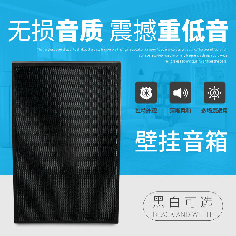B-916A壁挂音箱店铺广播室内吸顶套装背景音乐喇叭餐厅音响