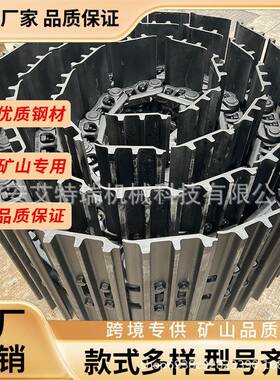 30-CXKA40吨矿山挖机带用于卡特A3293履30336链条工程T机械配件