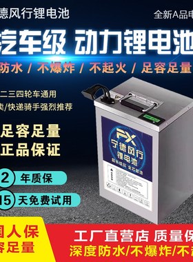 速发宁德电动车锂四vv60248v二三7轮车外卖专用三元磷酸铁锂