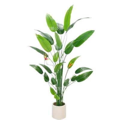 升级胶片叶仿真绿植旅人蕉盆栽美人蕉天堂鸟客厅落地假树芭蕉树