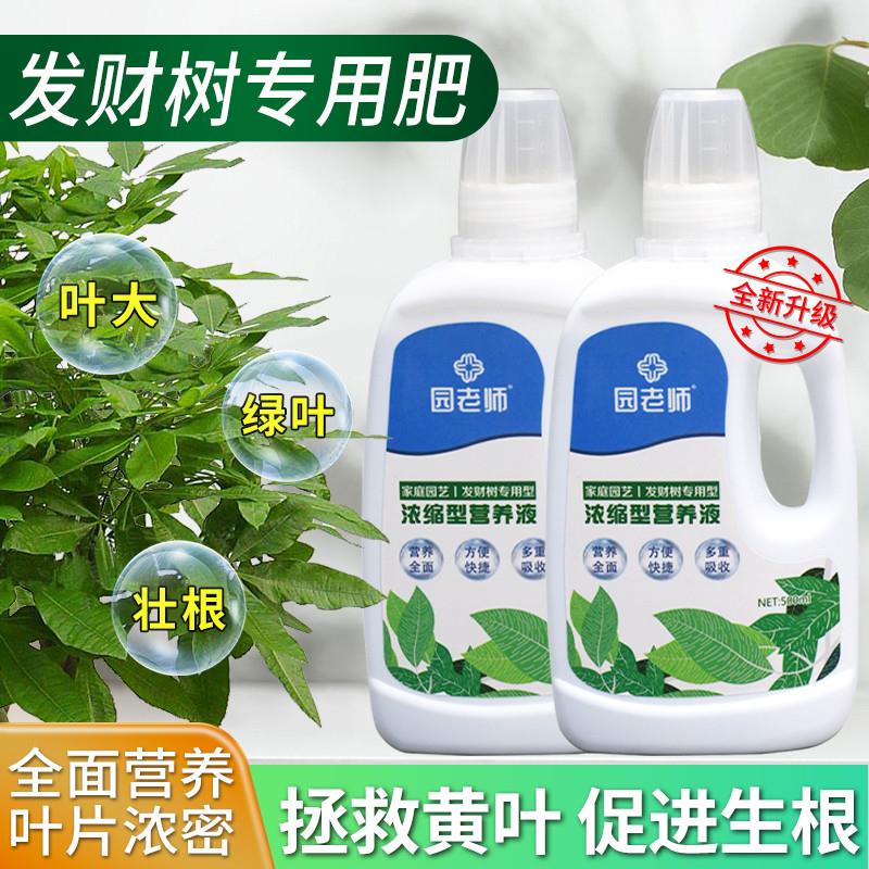 发财树营养液肥料专用肥室内绿植盆栽黄叶枯叶掉叶防烂根家用花肥