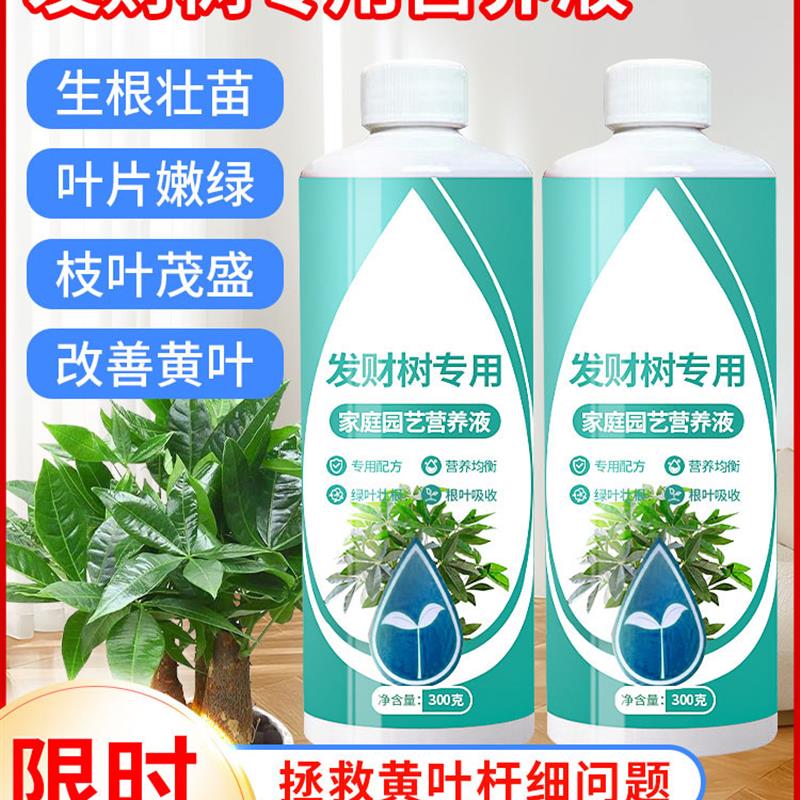 发财树肥料专用肥绿植物家用室内盆栽水培黄枯叶通用营养液水溶肥