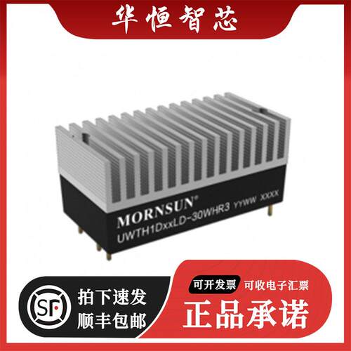 DC/DC隔离输电源 UWTH1D12LD-30WHR3 功率: 30W 输出电压：12v