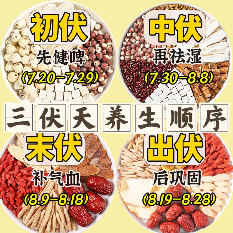 三伏天养生茶包40天初伏中伏末伏健脾胃祛湿气血补适合夏天喝的茶