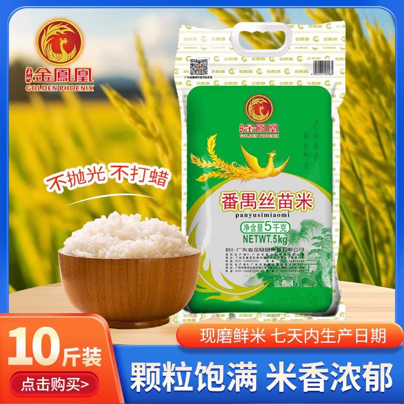 金凤凰玉竹 番禺香丝苗5kg 煲仔饭专用长粒香10斤装软香米图片
