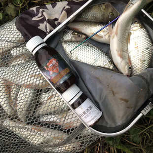 鲮鱼开口诱钓鱼小药土鲮鱼饵料麦鲮专用诱鱼剂红眼泰鲮打窝料渔