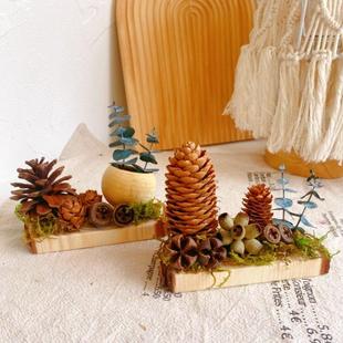 森系松果桌面摆件侘寂风氛围装 干果标本幼儿园环创纯手工diy 饰干