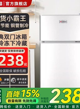 志高小冰箱一级节能家用省电小型租房宿舍用办公室迷你双门电冰箱