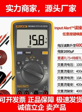 德国十大品牌高精度数字能万用表F101106F12E F15B+ F17B+ F18B+