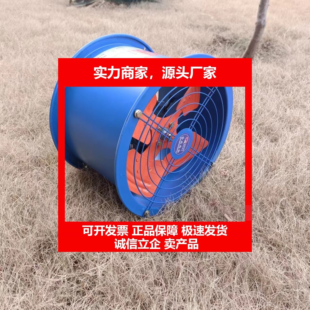 德国十大品牌SF轴流风机抽油烟机商用餐饮店风机商用餐饮店纯铜电