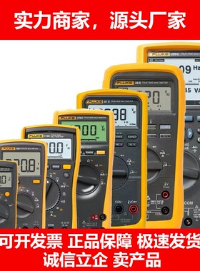 德国十大品牌万用表F101F15BF17BMAX数字万能表F18BF12EF107