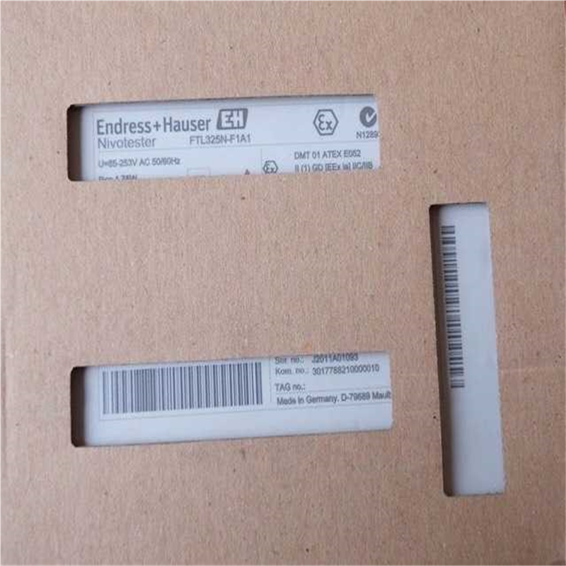 E+H FTL325N-F1A1 恩德斯豪斯振动式限位信号变（憨憨电子）