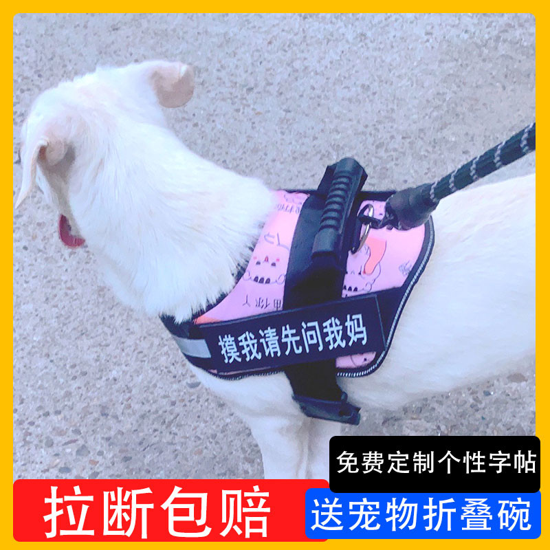 狗狗牵引绳背心式狗链子泰迪金毛拉布拉多大小型犬遛狗绳宠物背带