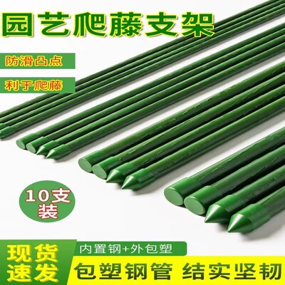 黄瓜架葡萄番茄西红柿家用爬藤支架杆子包塑月季杆子植物种菜架子