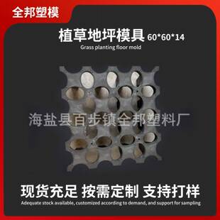 高承载植草地坪模具户外停车位现浇混凝土模具塑料植草停车场地砖