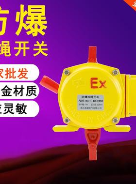 防爆拉绳开关带防水盒手动防爆双向急停拉线开关EXKLTII-2XLLS-I