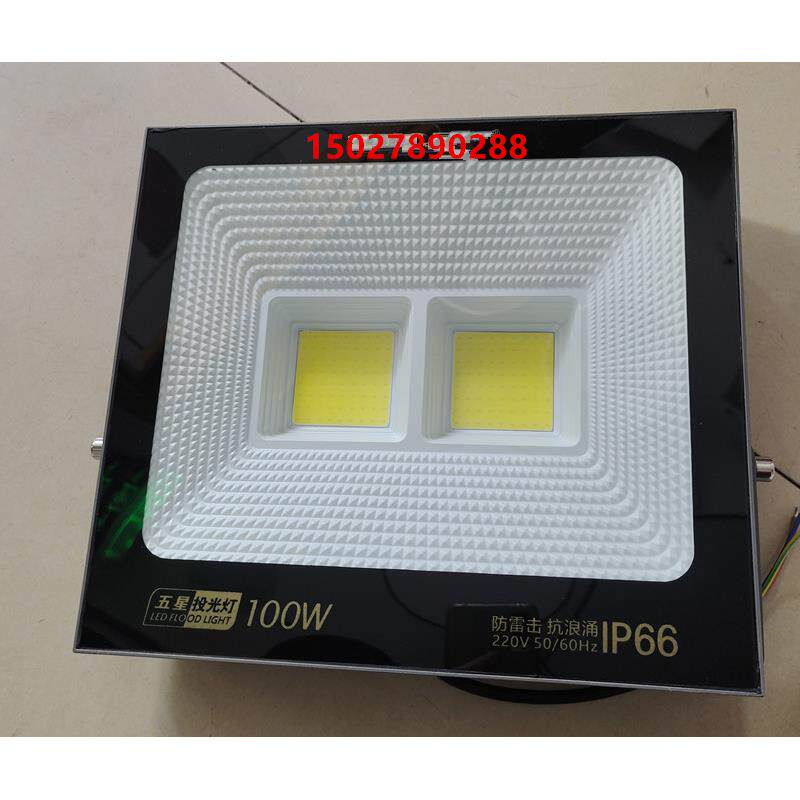 LED100W投光灯防雷击抗浪涌投射灯泛光灯IP66室外防水射灯100W