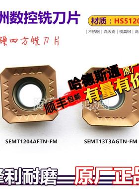 株洲哈德数控铣刀片四方铣刀粒SEMT1204AFTN 13T3AGTN HS5120特惠