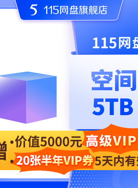 115网盘 5TB空间扩容 超值容量 长期有效 不包含VIP服务 自动到账
