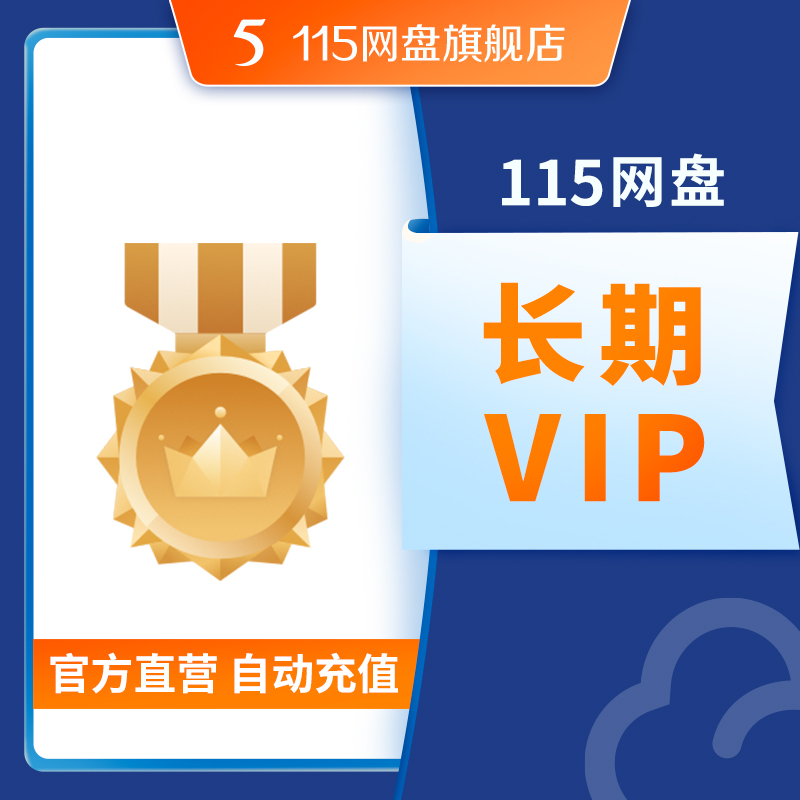 长期VIP  5PB长期空间  自动充值