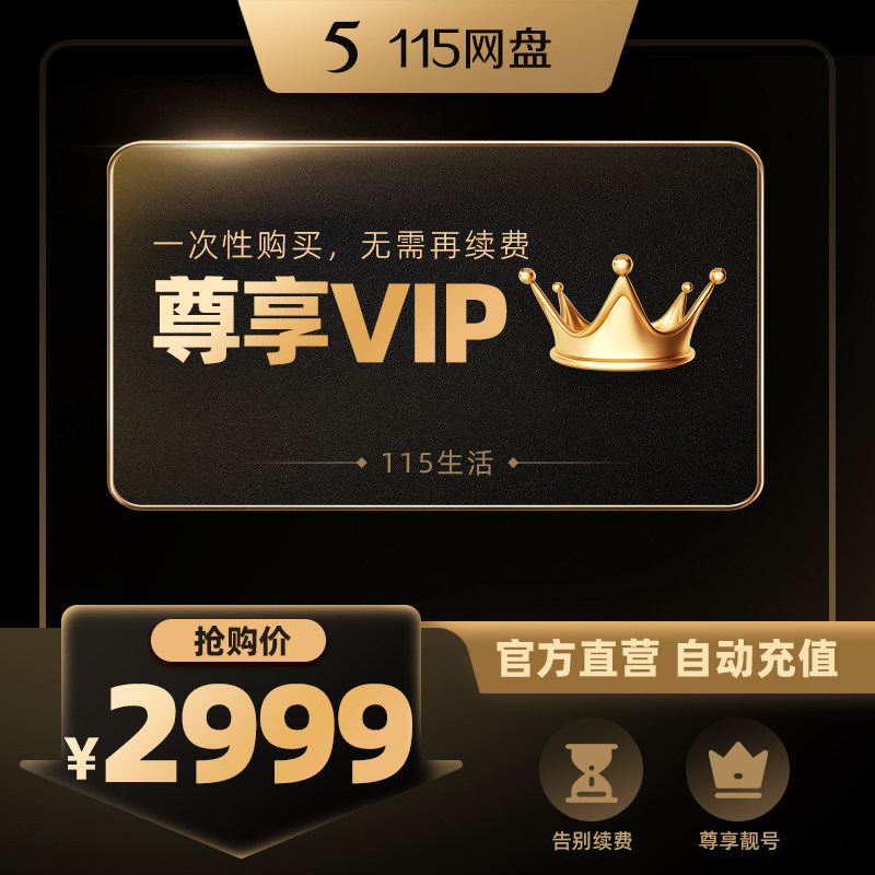 115网盘 尊享VIP会员不额外赠送空间 专享会员提速通道 官方直充图片