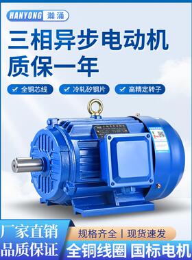 三相电动机YE2-100L2-4 3/2.2KW YE3-112M-4 4/1.5KW全铜国标380V