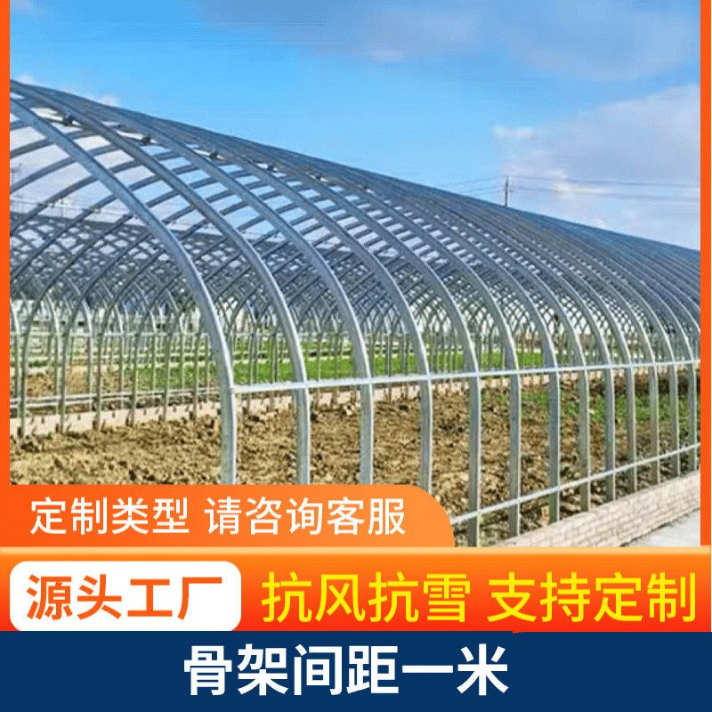 热销温室大棚骨架钢管种植养殖猪牛羊兔舍钢架连栋配件简易蔬菜棚