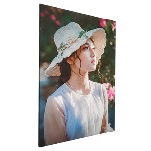 热销无框画定制照片插画艺术微喷来图定做装 饰画油画布高清打印挂