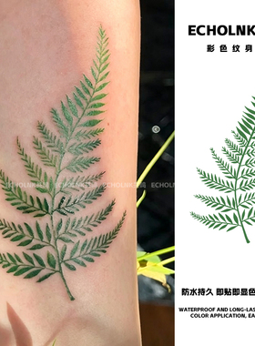 森系小清新蕨类植物彩色纹身贴