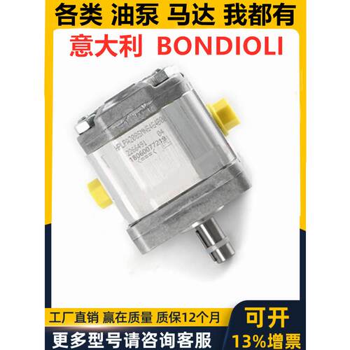 意大利BONDIOLI齿轮泵 HPLPA211DMLG4G4B00 HPLPA217SMNG6G4BHY