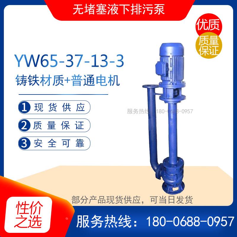 YW65-37-13-3型铸铁无堵塞液下排污泵 防缠绕污水泵 电动排抽水泵