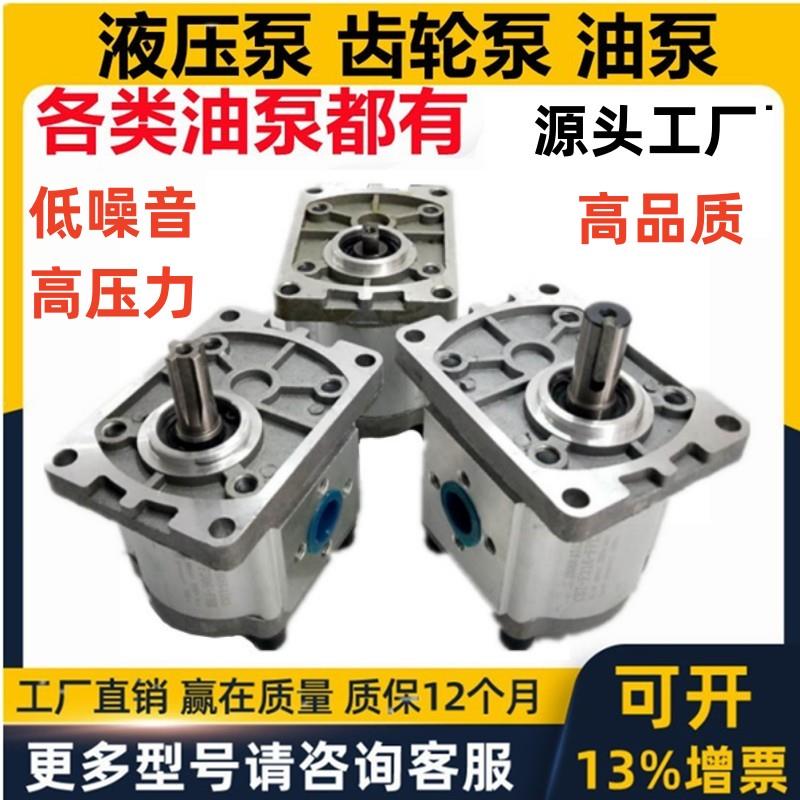 SUORUI齿轮油泵CBN CBT - E F 304 306 310 312 314 316 320 325