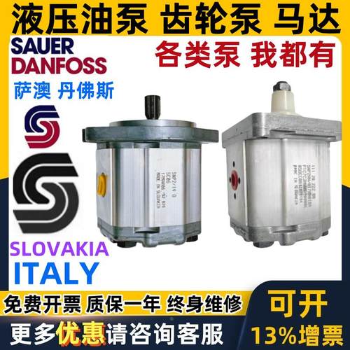 意大利丹佛斯齿轮泵SNP2NN/ 4.0 6.0 8.0 0 11 14 17 25 19RN01BA