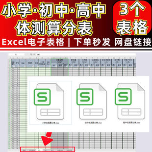 小学初中高中体测自动计算评分电子表格Excel模板年级全校分析BMI