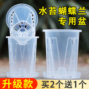 速发水苔花蝶盆花盆透明青山控根兰兰花塑料透气加厚大号蝴盆家用