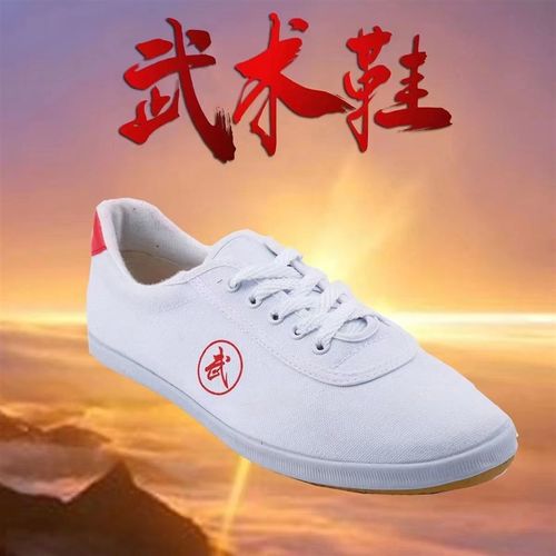 速发儿童武术鞋男太极牛练功鞋少儿训练鞋拳滑底防筋轻便太极鞋春