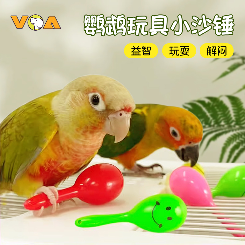 速发鹦鹉鹦具解闷自嗨小沙锤摇铃训皮玄凤牡丹和尚鸟玩鹉磨牙益智