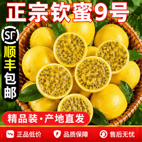 黄金百香果钦蜜9号新鲜现摘